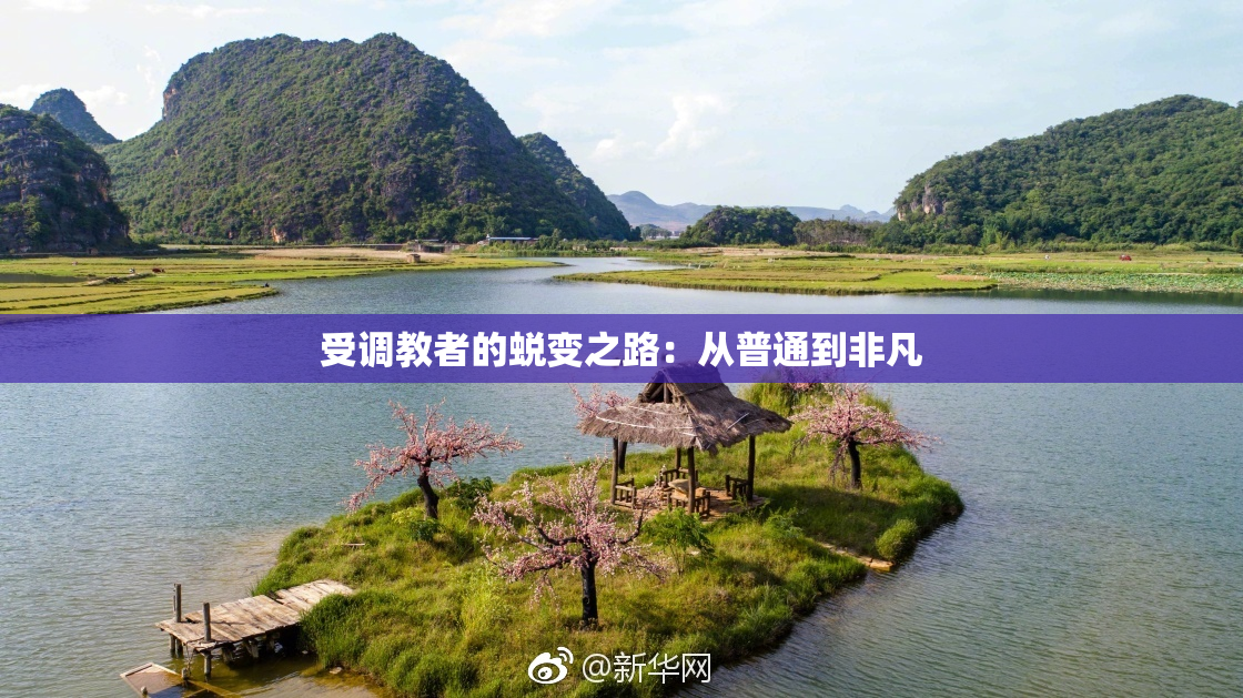 受调教者的蜕变之路：从普通到非凡