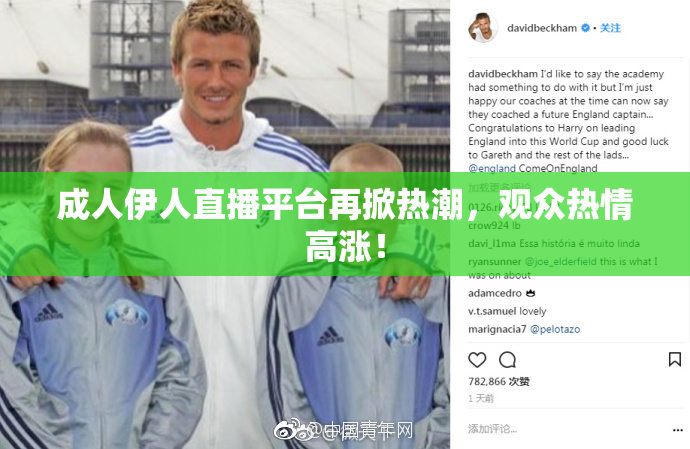 成人伊人直播平台再掀热潮，观众热情高涨！