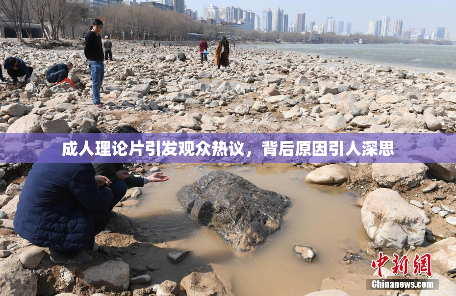 成人理论片引发观众热议，背后原因引人深思