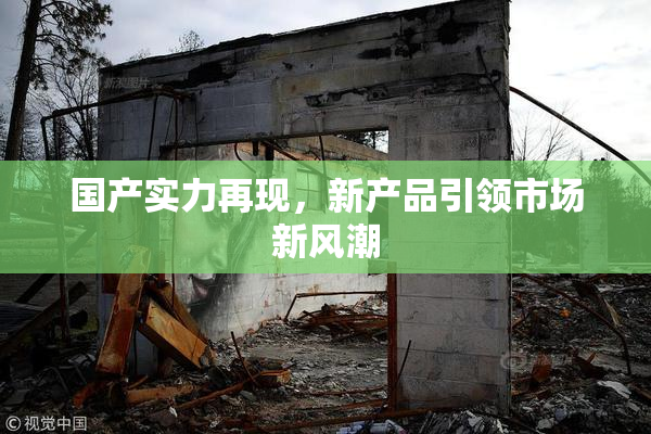 国产实力再现，新产品引领市场新风潮