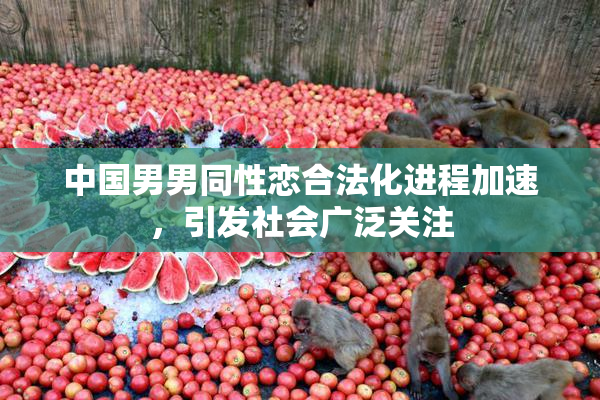 中国男男同性恋合法化进程加速，引发社会广泛关注