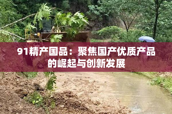 91精产国品：聚焦国产优质产品的崛起与创新发展