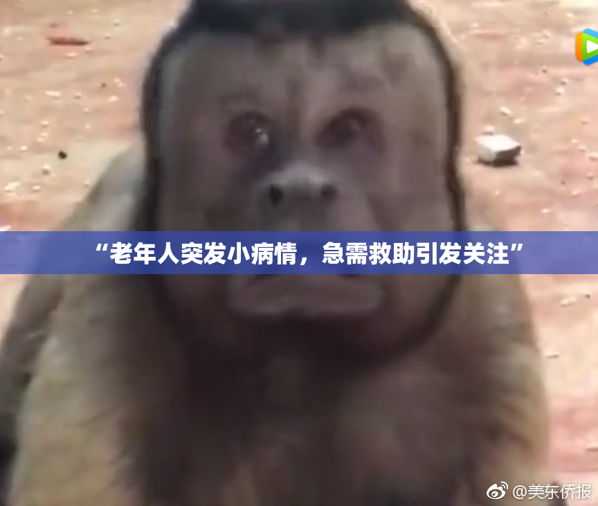 “老年人突发小病情，急需救助引发关注”