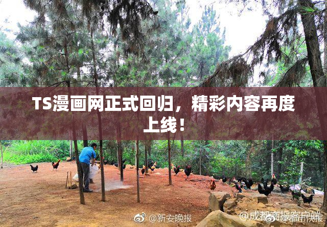TS漫画网正式回归，精彩内容再度上线！