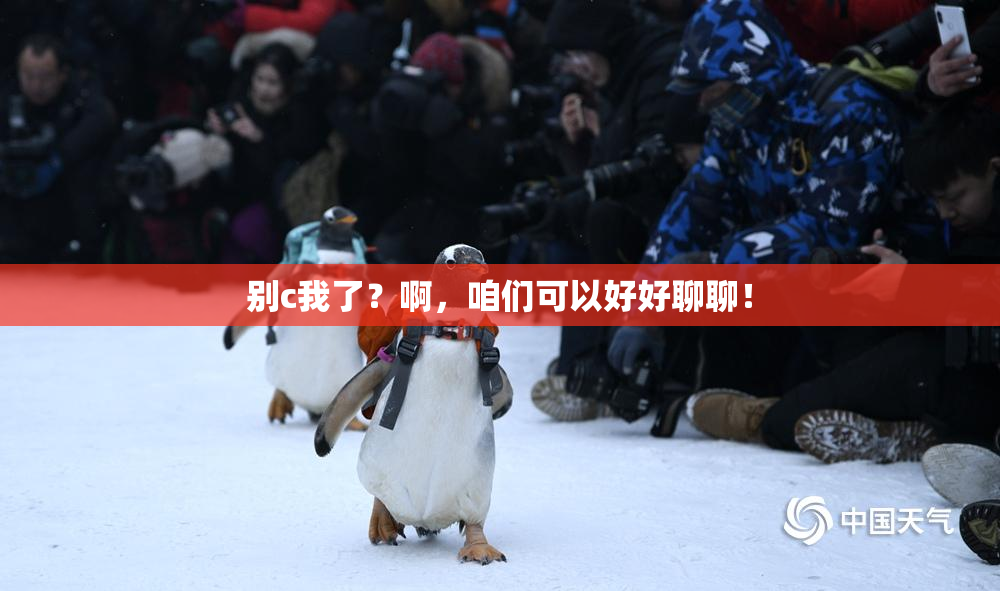 别c我了？啊，咱们可以好好聊聊！
