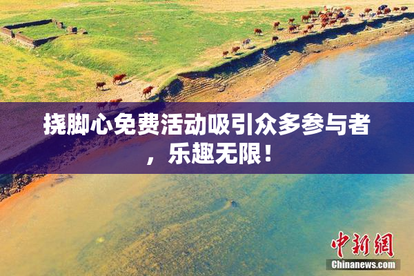 挠脚心免费活动吸引众多参与者，乐趣无限！