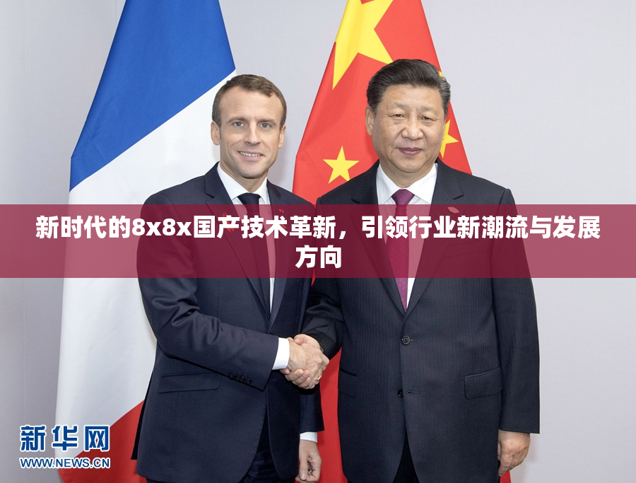 新时代的8x8x国产技术革新，引领行业新潮流与发展方向