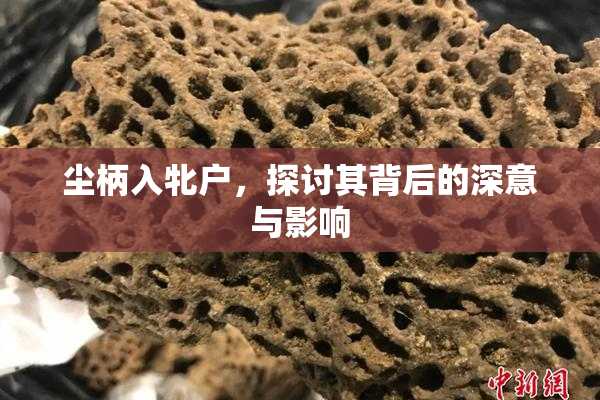 尘柄入牝户，探讨其背后的深意与影响