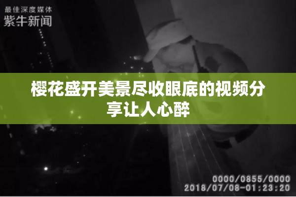 樱花盛开美景尽收眼底的视频分享让人心醉