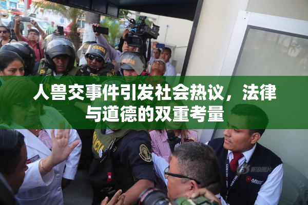 人兽交事件引发社会热议，法律与道德的双重考量