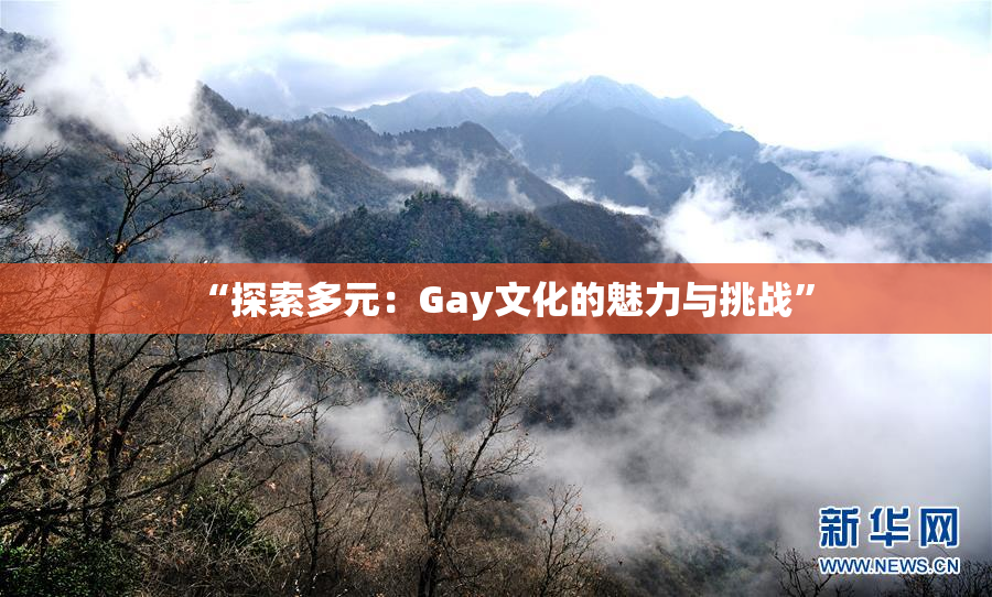 “探索多元：Gay文化的魅力与挑战”