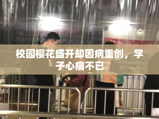 校园樱花盛开却因病重创，学子心痛不已