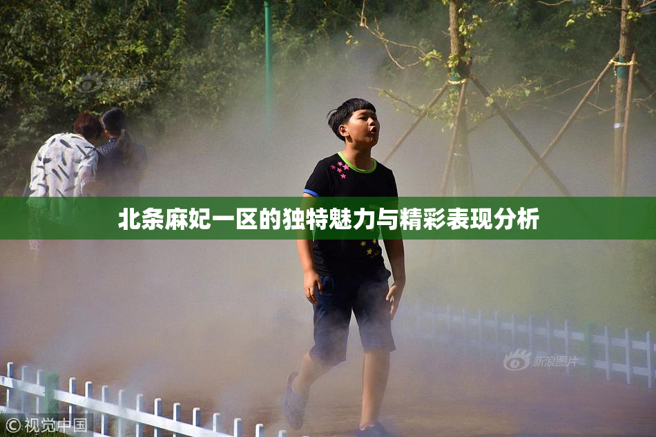 北条麻妃一区的独特魅力与精彩表现分析