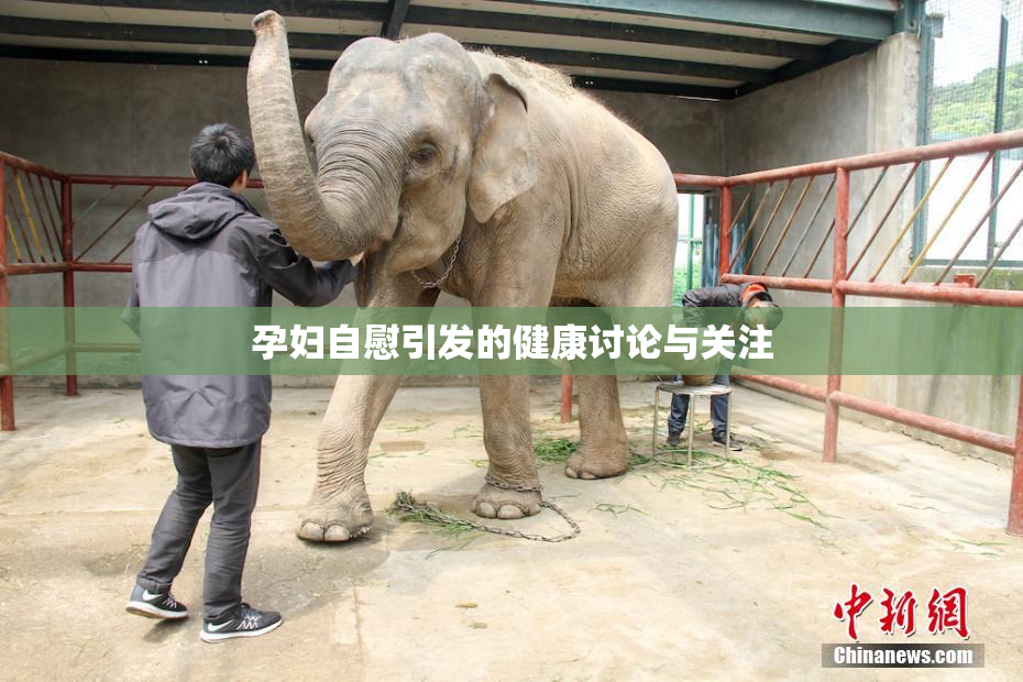 孕妇自慰引发的健康讨论与关注