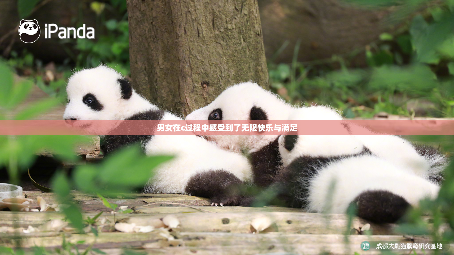 男女在c过程中感受到了无限快乐与满足