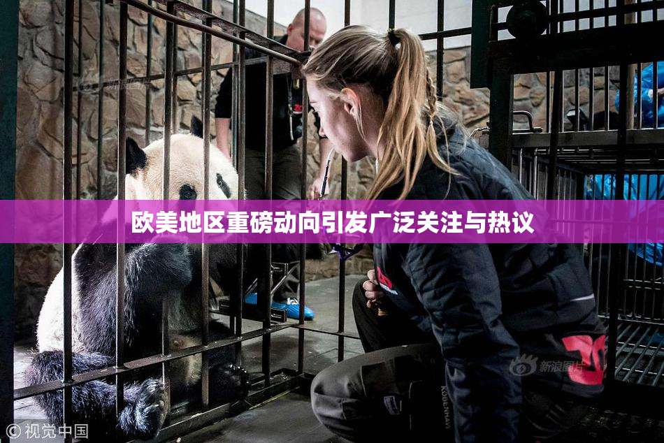 欧美地区重磅动向引发广泛关注与热议