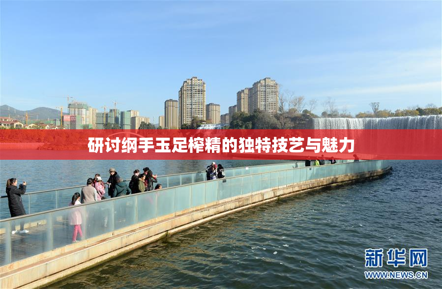 研讨纲手玉足榨精的独特技艺与魅力