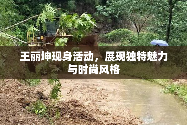 王丽坤现身活动，展现独特魅力与时尚风格