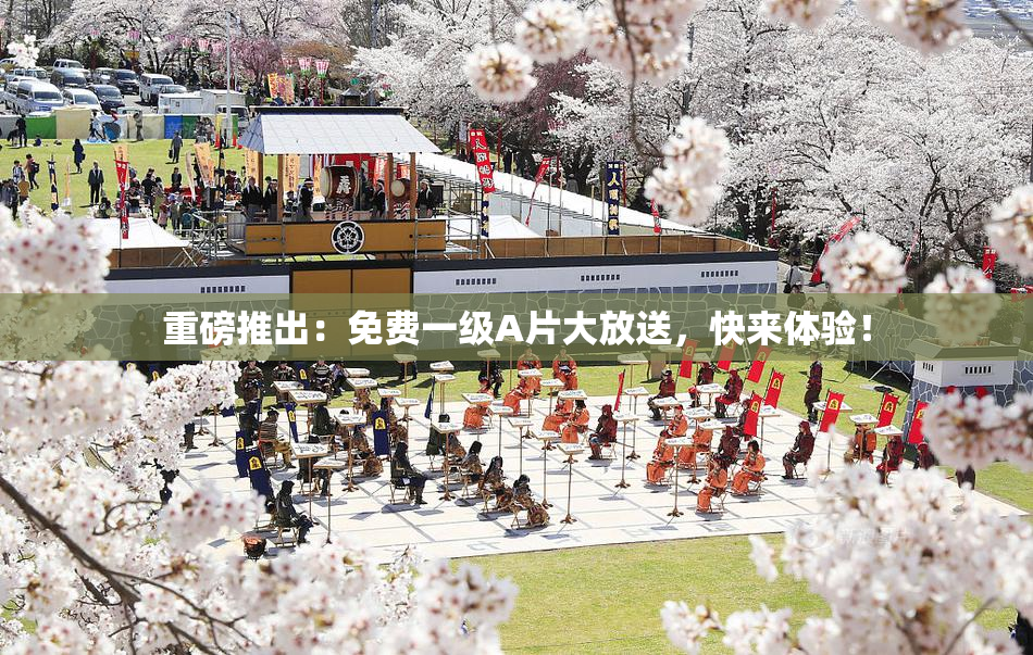 重磅推出：免费一级A片大放送，快来体验！