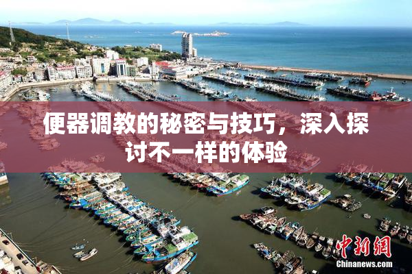 便器调教的秘密与技巧，深入探讨不一样的体验