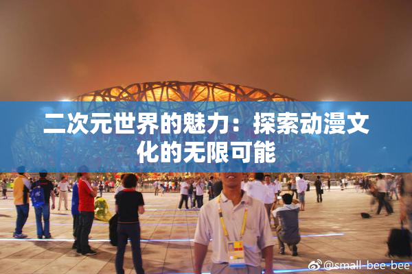 二次元世界的魅力：探索动漫文化的无限可能