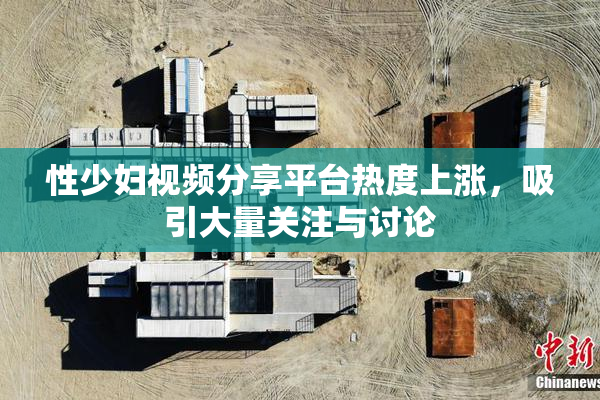 性少妇视频分享平台热度上涨，吸引大量关注与讨论