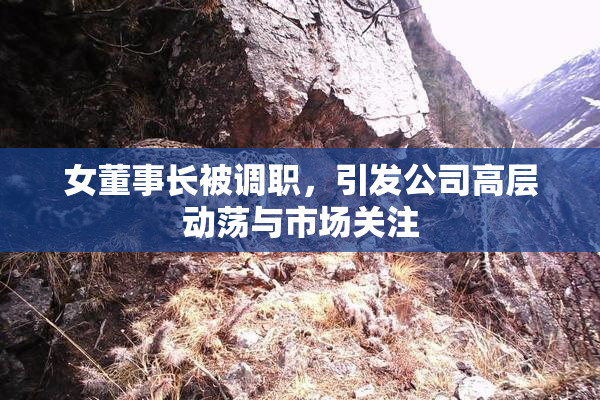 女董事长被调职，引发公司高层动荡与市场关注