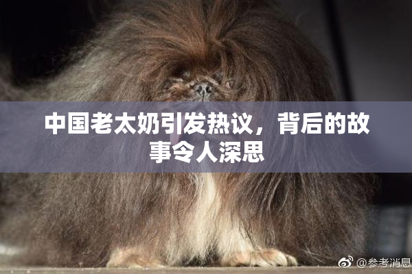 中国老太奶引发热议，背后的故事令人深思