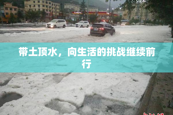 带土顶水，向生活的挑战继续前行