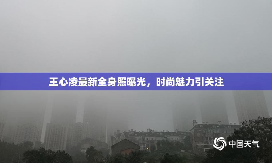 王心凌最新全身照曝光，时尚魅力引关注