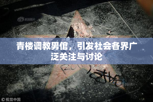 青楼调教男倌，引发社会各界广泛关注与讨论