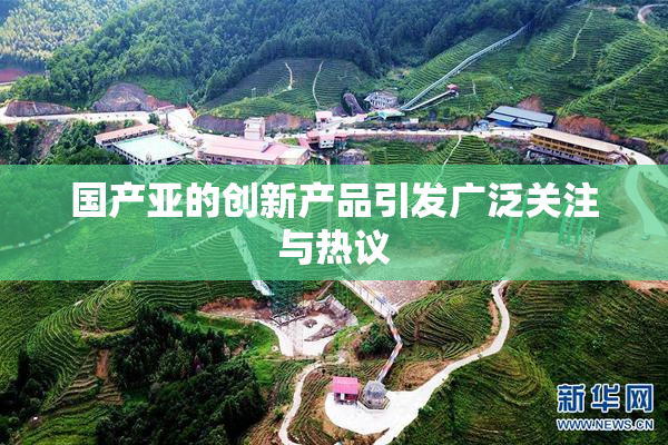 国产亚的创新产品引发广泛关注与热议