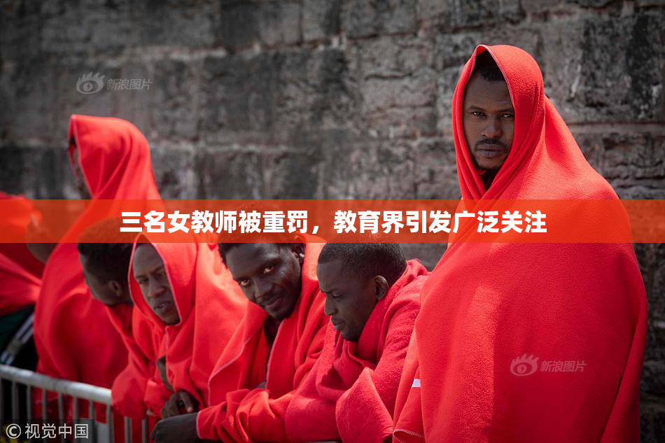 三名女教师被重罚，教育界引发广泛关注