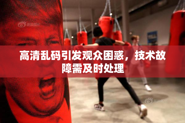 高清乱码引发观众困惑，技术故障需及时处理