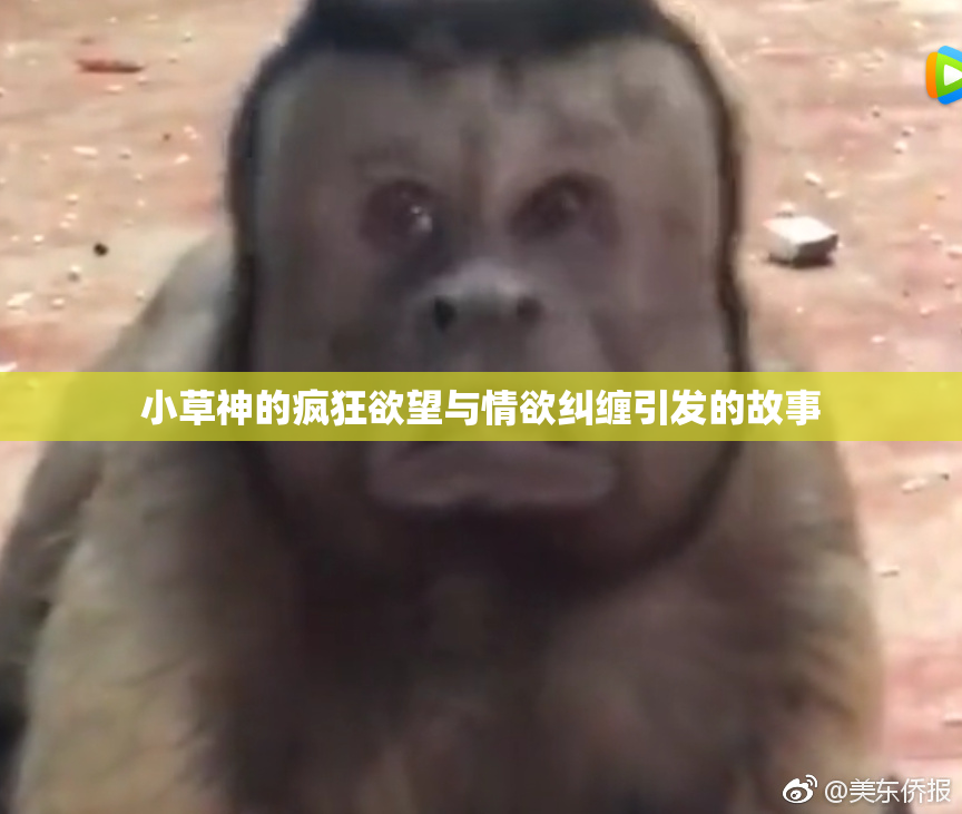 小草神的疯狂欲望与情欲纠缠引发的故事