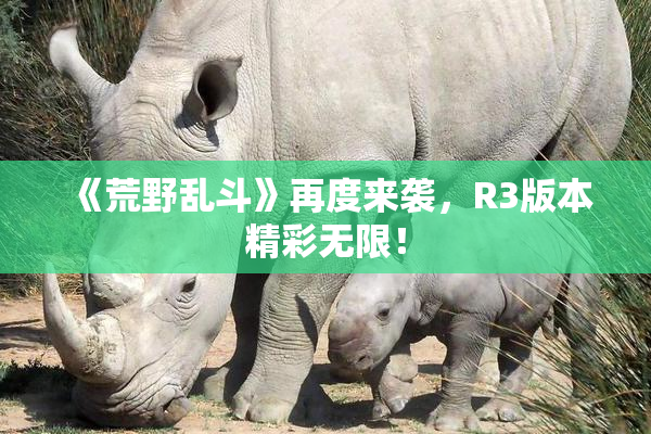 《荒野乱斗》再度来袭，R3版本精彩无限！