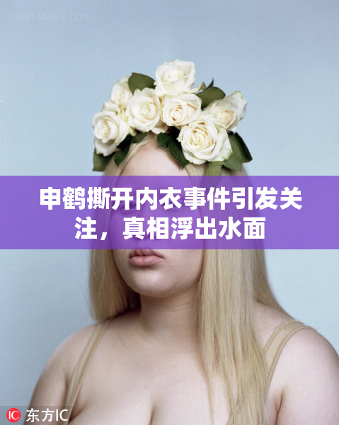 申鹤撕开内衣事件引发关注，真相浮出水面