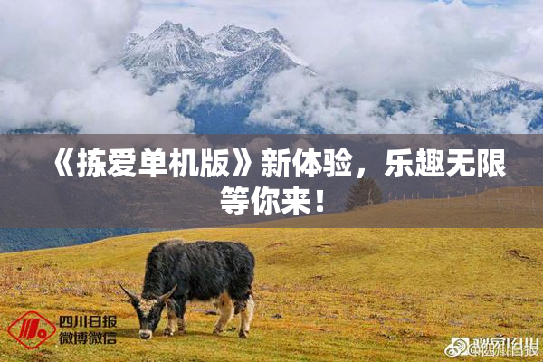 《拣爱单机版》新体验，乐趣无限等你来！