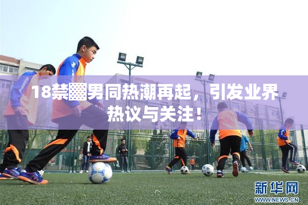 18禁▓男同热潮再起，引发业界热议与关注！