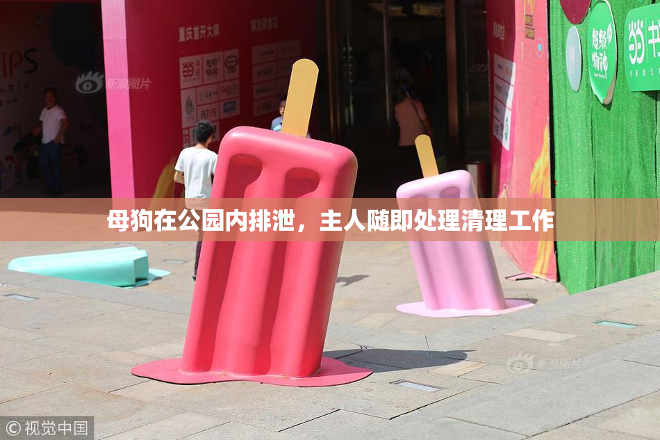 母狗在公园内排泄，主人随即处理清理工作
