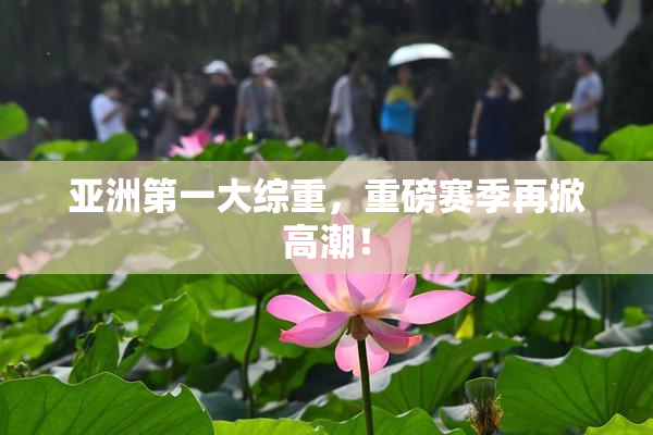亚洲第一大综重，重磅赛季再掀高潮！
