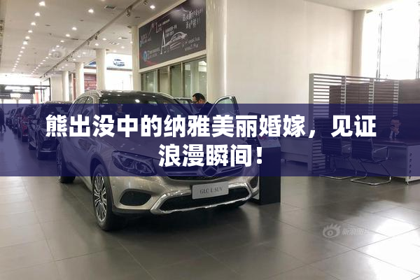 熊出没中的纳雅美丽婚嫁，见证浪漫瞬间！