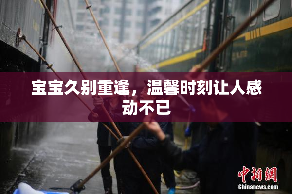 宝宝久别重逢，温馨时刻让人感动不已