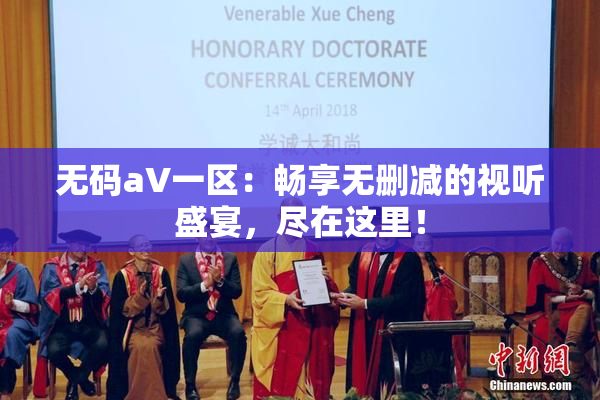 无码aV一区：畅享无删减的视听盛宴，尽在这里！