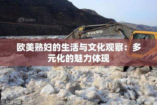欧美熟妇的生活与文化观察：多元化的魅力体现