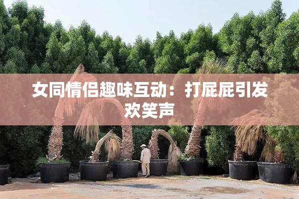 女同情侣趣味互动：打屁屁引发欢笑声