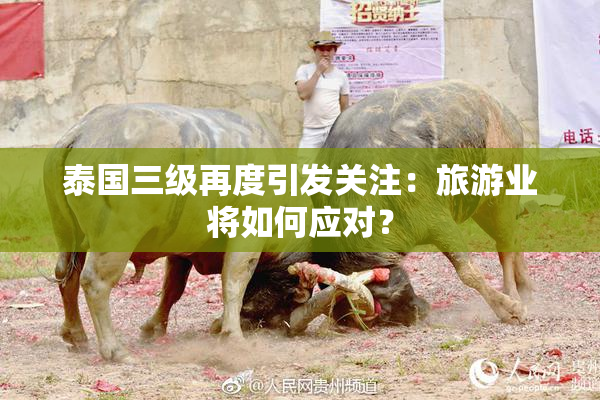 泰国三级再度引发关注：旅游业将如何应对？