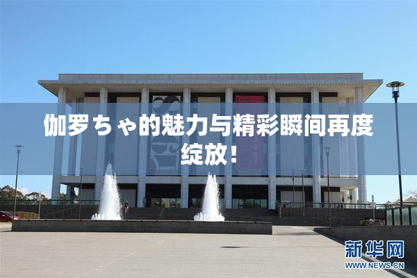 伽罗ちゃ的魅力与精彩瞬间再度绽放！