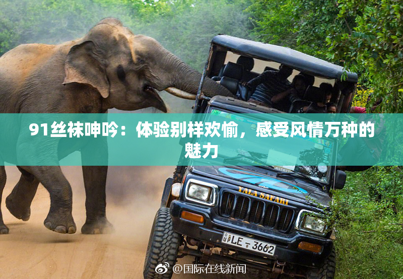 91丝袜呻吟：体验别样欢愉，感受风情万种的魅力