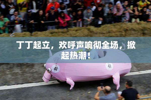 丁丁起立，欢呼声响彻全场，掀起热潮！